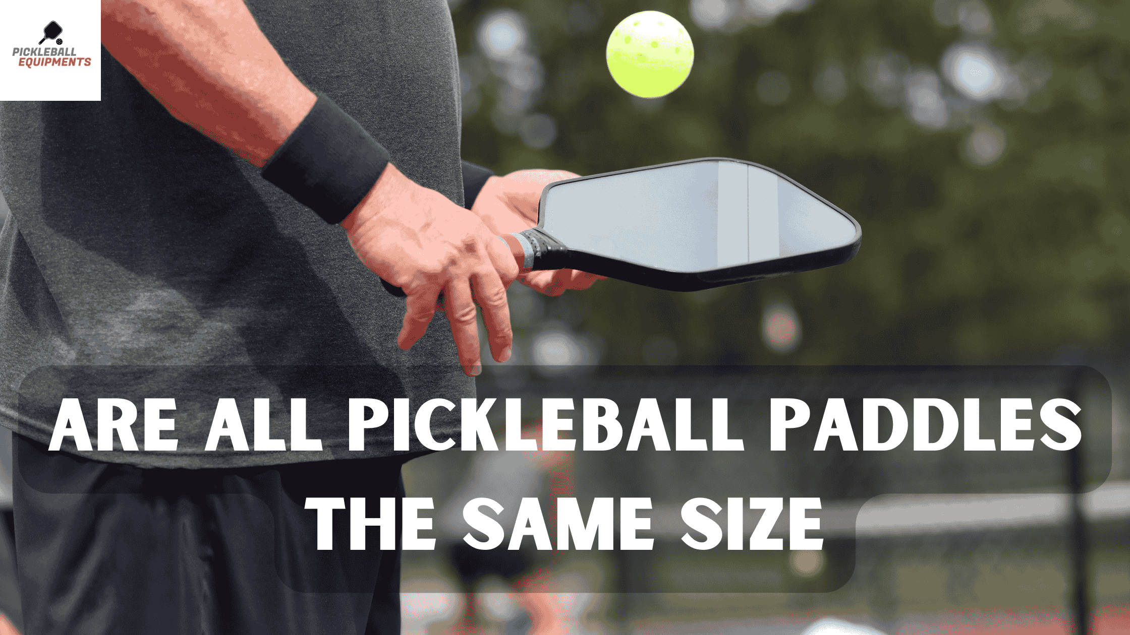 Are-All-Pickleball-Paddles-the-Same-Size