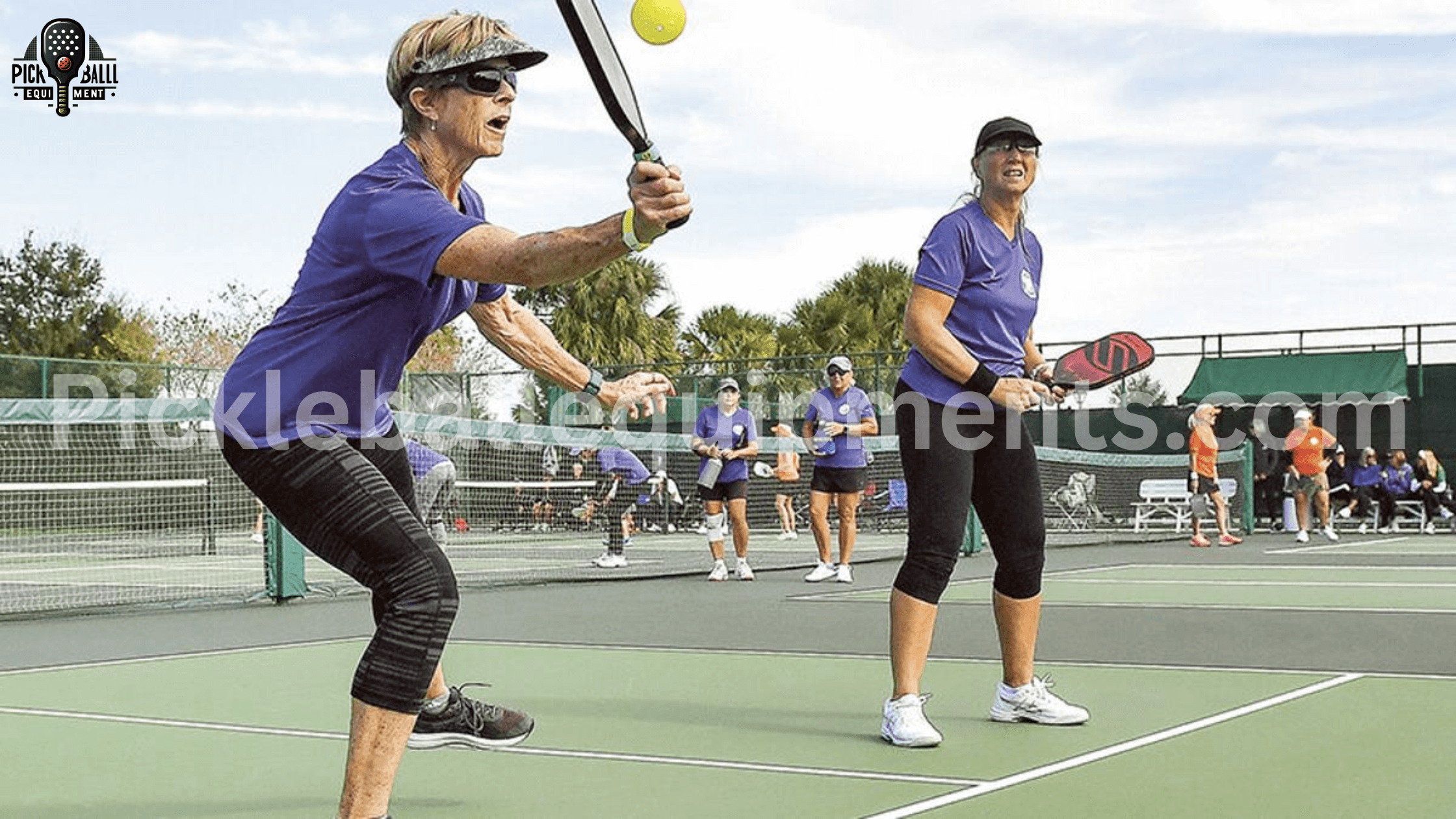 Pickleball Global Reach and Recognition