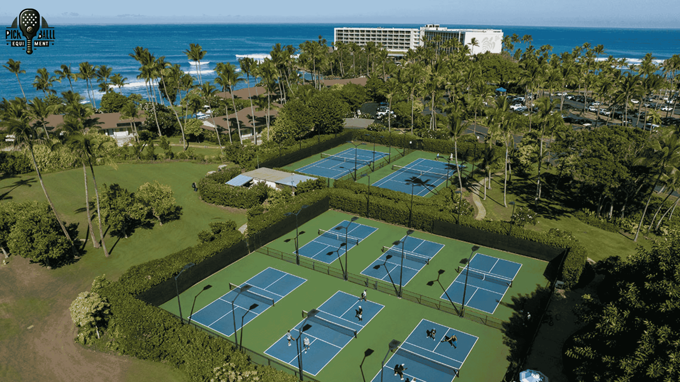 Customized Private Pickleball Trips for Every Player